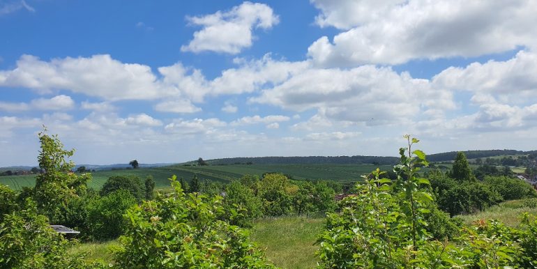 Ausblick