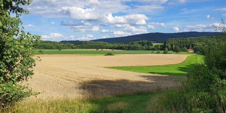 Blick auf das Ackergrundstück