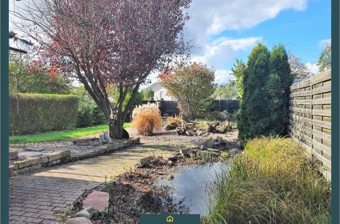 Blick in den Gartenbereich