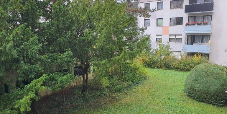 Blick in den Garten