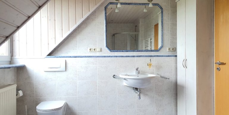 DG: Tageslichtbadezimmer