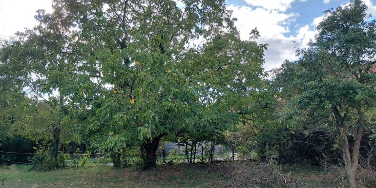 Gartenbereich