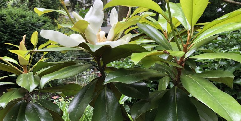 Garten Details