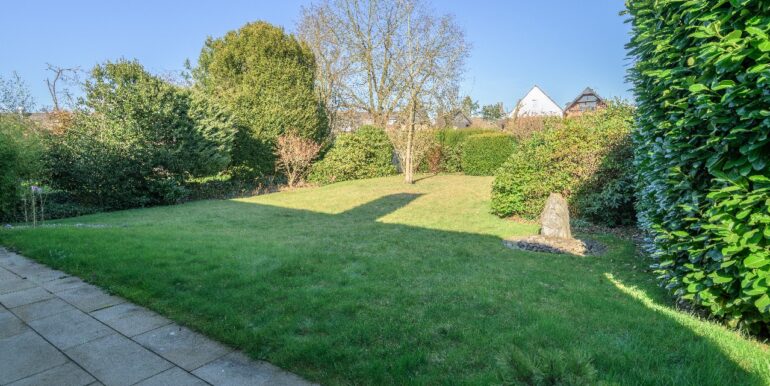 Blick in den Garten