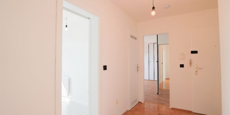 Die zentrale Wohnungsdiele