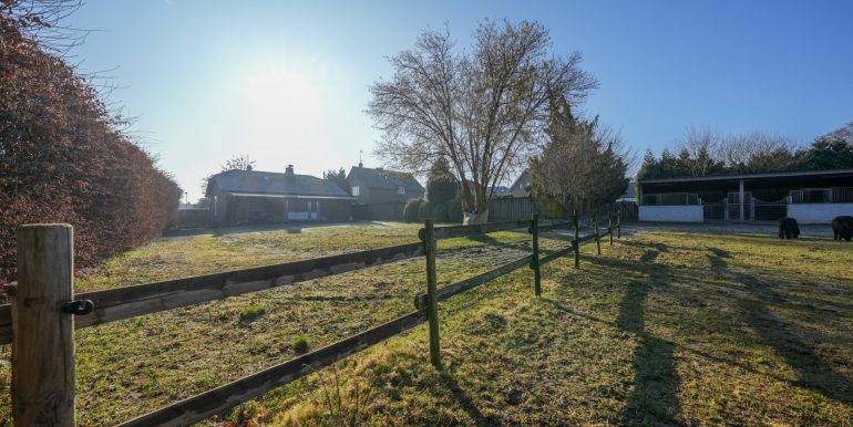 Gartenbereich 2