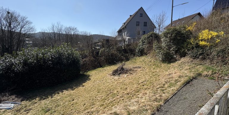 Wiesengrundstück