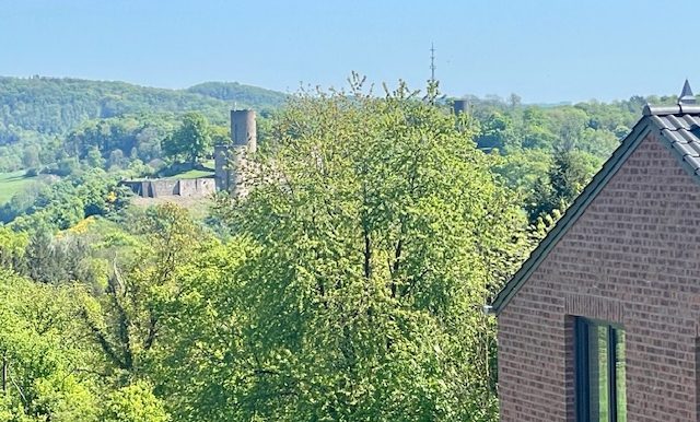 Haushälfte 2 Blick vom Balkon
