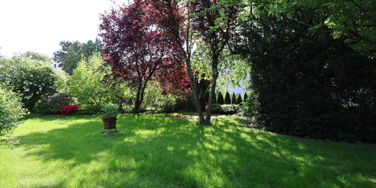 Blick in den Gemeinschaftsgarten
