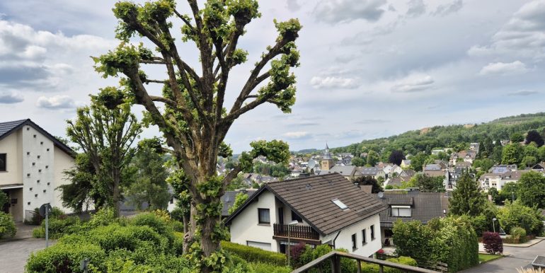 ...Panoramablick über den Ort
