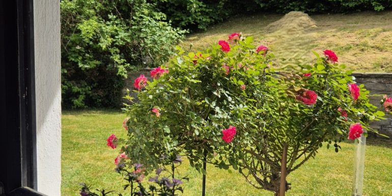 Küchenausblick auf die Terrasse