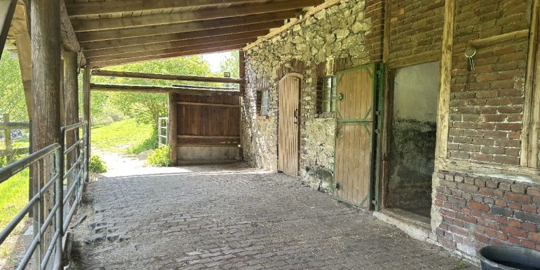 Paddock