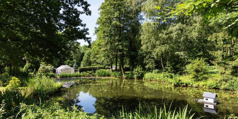 Teich im Garten