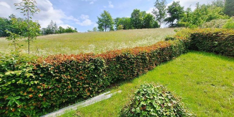 Blick vom Garten
