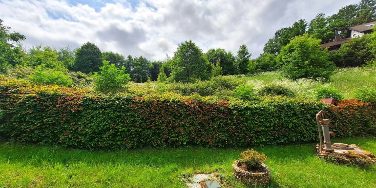 Blick vom Garten