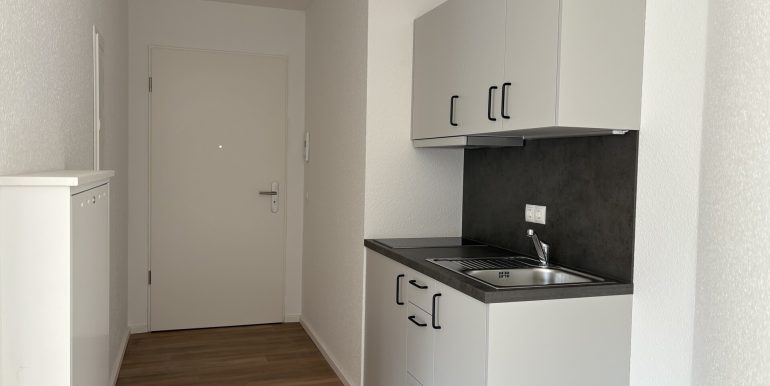 Eingangsbereich / Pantryküche