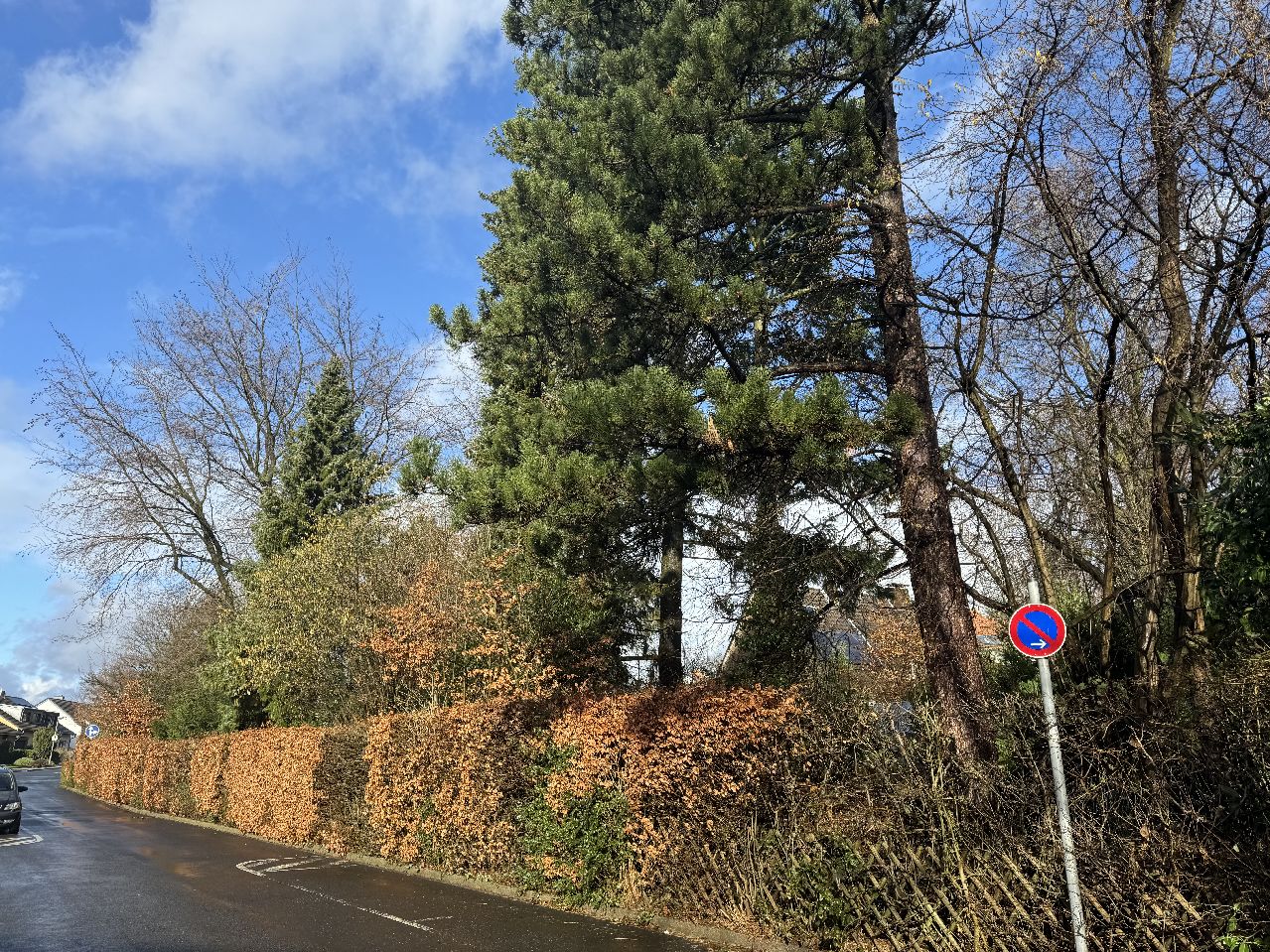 Neubauvorhaben Mettmann – Metzkausen 1 Familienhaus / Villa