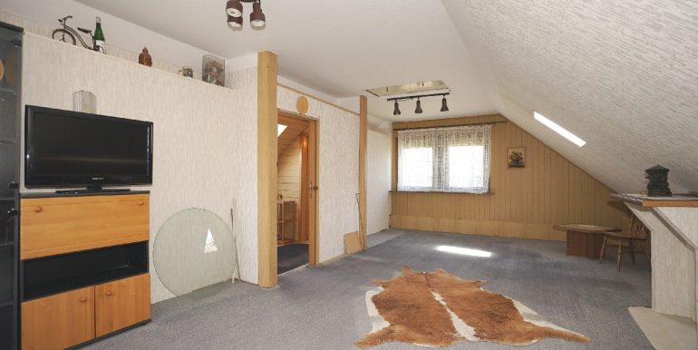 wohnlich nutzbarer Speicherraum Teilansicht 1