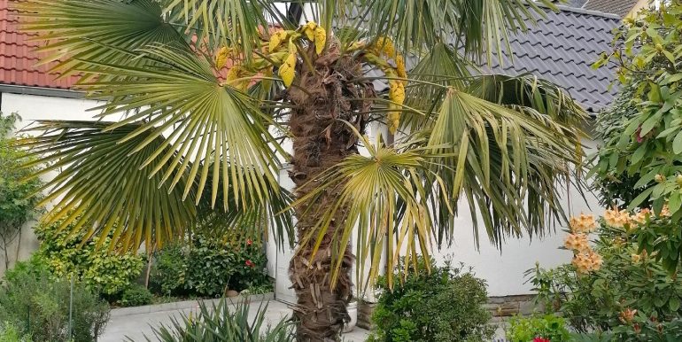 vielfältiger Pflanzenbestand...