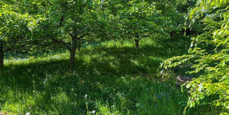separates Gartengrundstück