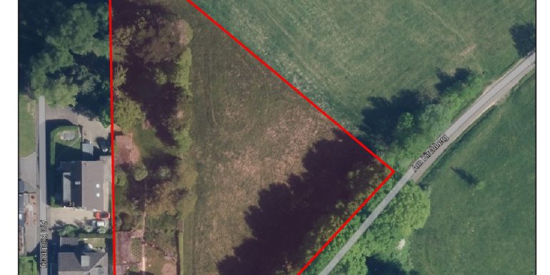 Luftbild mit Grundstücksgrenze