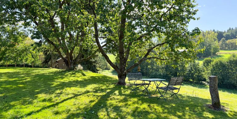 Blick vom Garten auf umliegende Wiesen