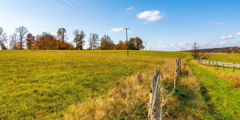 optionale Weidefläche