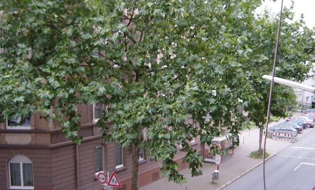 Sicht aus dem Fenster