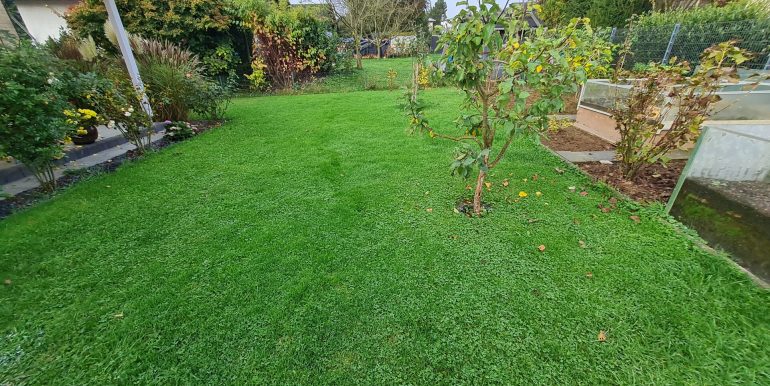Blick in den Garten