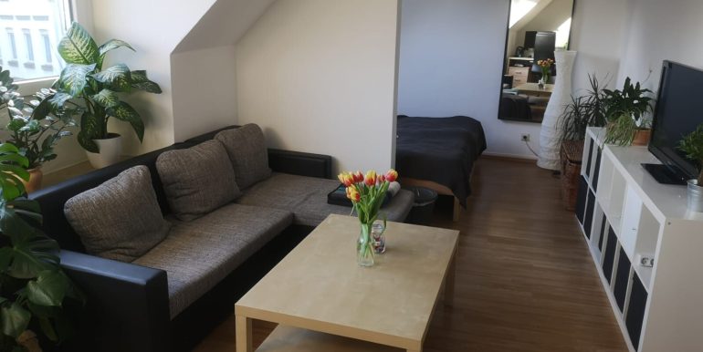 Wohn und Schlafzimmer