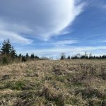 Unverbaubare Naturlage