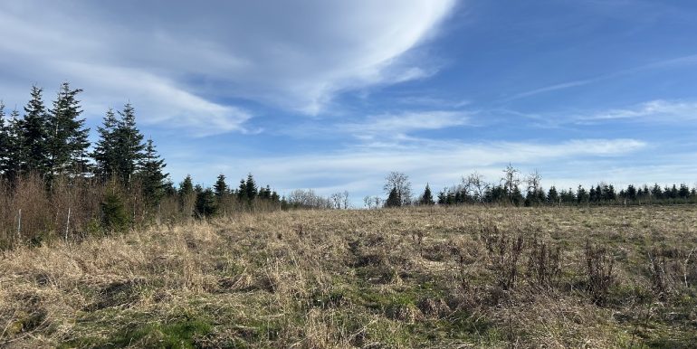 Unverbaubare Naturlage