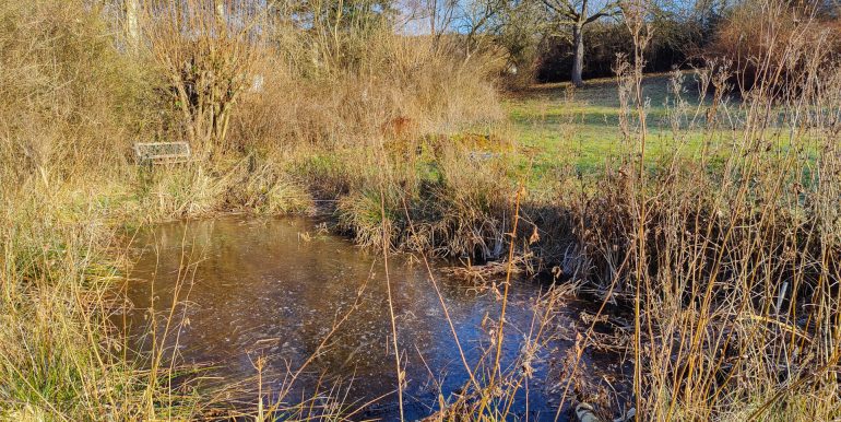 Gartenteich