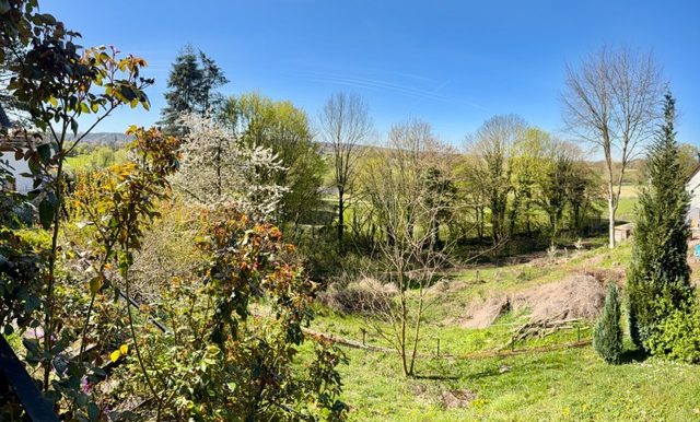 Ausblick
