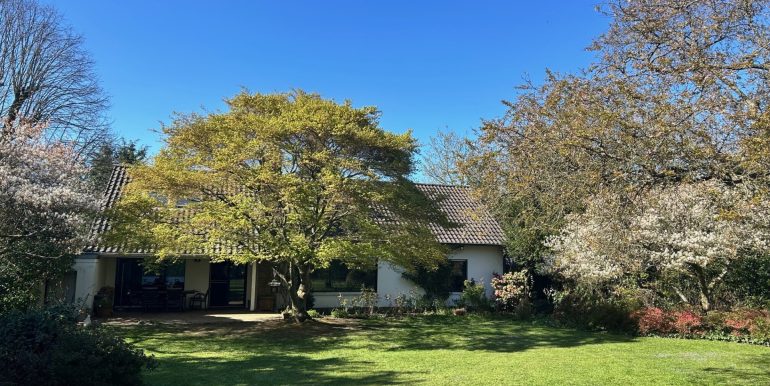 Gartenansicht