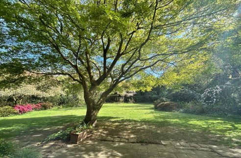 Blick in den Garten
