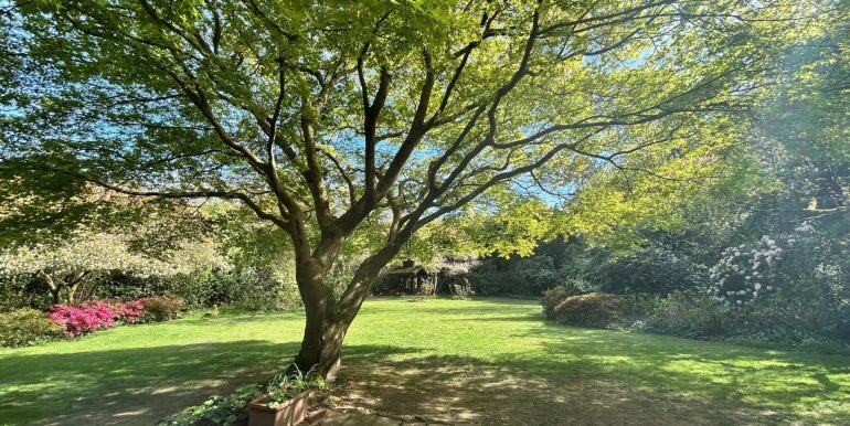 Blick in den Garten