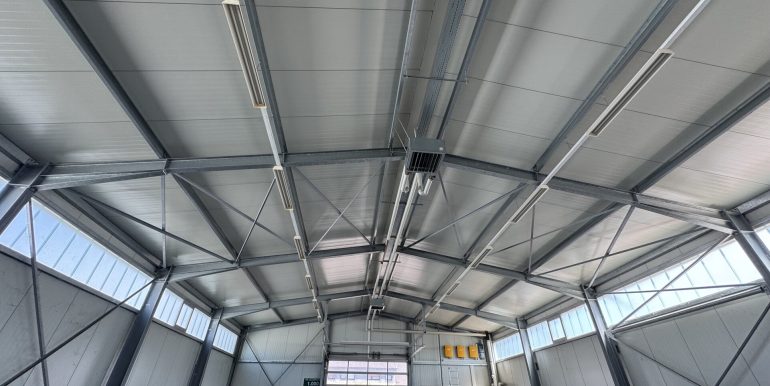 Halle-Dach