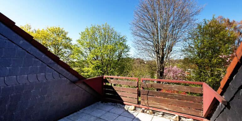 Dachloggia