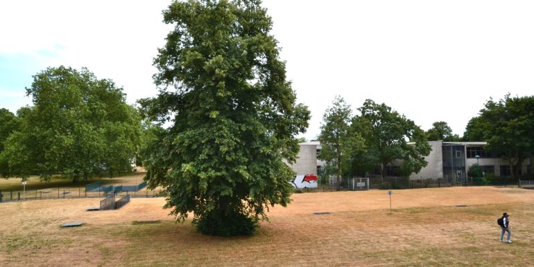 Blick in den Garten