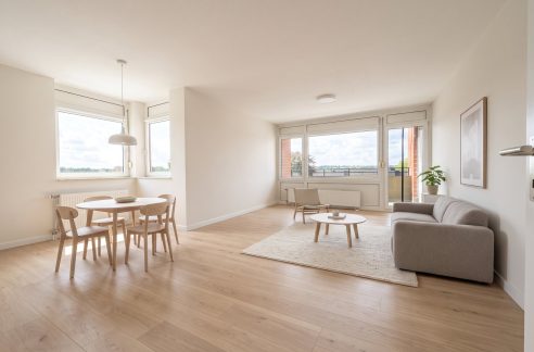 Wohn- Esszimmer Einrichtungsbeispiel
