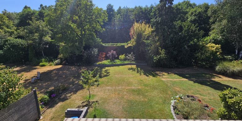 Blick in den Garten