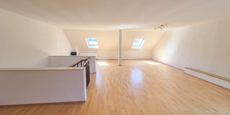 Studio (DG)