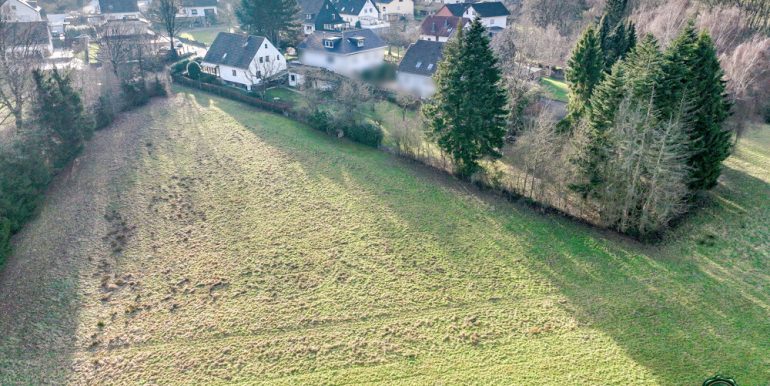 Landwirtschaftliche Fläche