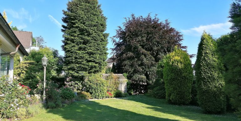 Blick in den Garten