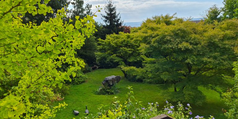Blick in den Garten