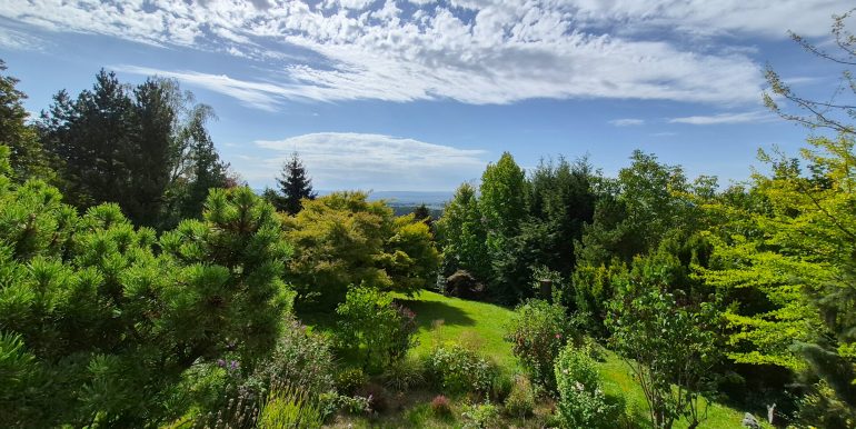 Blick in den Garten