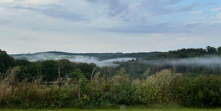 Aussicht Nebel